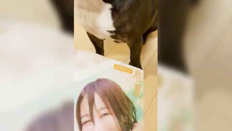 [Twitter] いくみ – (193iKkyu3) (10.11.2022) [2476P116V-1.04GB] (65)