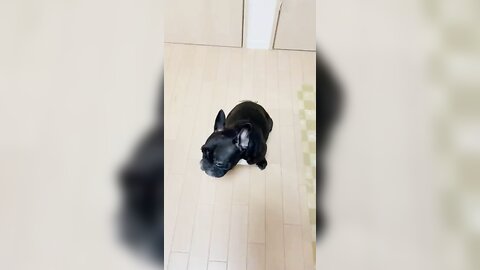 [Twitter] いくみ – (193iKkyu3) (10.11.2022) [2476P116V-1.04GB] (64)