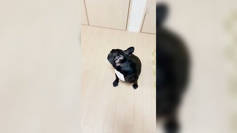 [Twitter] いくみ – (193iKkyu3) (10.11.2022) [2476P116V-1.04GB] (64)