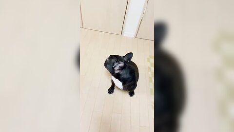 [Twitter] いくみ – (193iKkyu3) (10.11.2022) [2476P116V-1.04GB] (64)