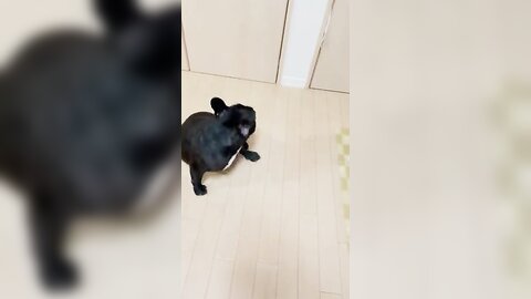 [Twitter] いくみ – (193iKkyu3) (10.11.2022) [2476P116V-1.04GB] (64)