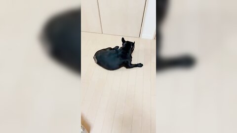 [Twitter] いくみ – (193iKkyu3) (10.11.2022) [2476P116V-1.04GB] (64)