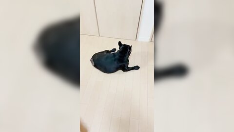 [Twitter] いくみ – (193iKkyu3) (10.11.2022) [2476P116V-1.04GB] (64)