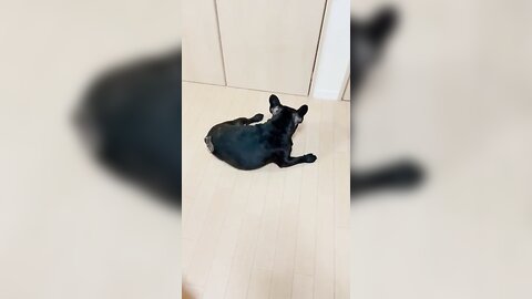 [Twitter] いくみ – (193iKkyu3) (10.11.2022) [2476P116V-1.04GB] (64)