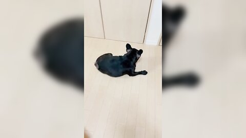 [Twitter] いくみ – (193iKkyu3) (10.11.2022) [2476P116V-1.04GB] (64)