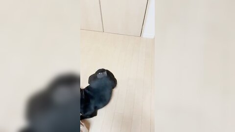 [Twitter] いくみ – (193iKkyu3) (10.11.2022) [2476P116V-1.04GB] (64)