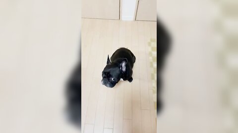 [Twitter] いくみ – (193iKkyu3) (10.11.2022) [2476P116V-1.04GB] (64)