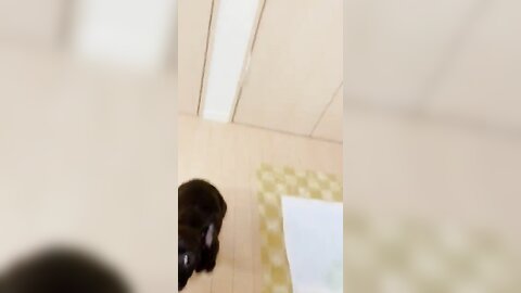 [Twitter] いくみ – (193iKkyu3) (10.11.2022) [2476P116V-1.04GB] (64)