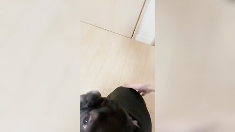 [Twitter] いくみ – (193iKkyu3) (10.11.2022) [2476P116V-1.04GB] (64)