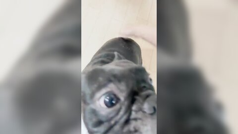 [Twitter] いくみ – (193iKkyu3) (10.11.2022) [2476P116V-1.04GB] (64)