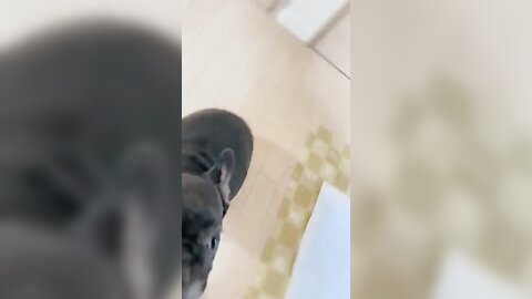 [Twitter] いくみ – (193iKkyu3) (10.11.2022) [2476P116V-1.04GB] (64)