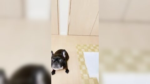 [Twitter] いくみ – (193iKkyu3) (10.11.2022) [2476P116V-1.04GB] (64)