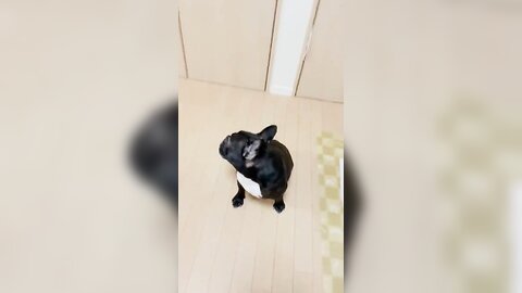 [Twitter] いくみ – (193iKkyu3) (10.11.2022) [2476P116V-1.04GB] (64)