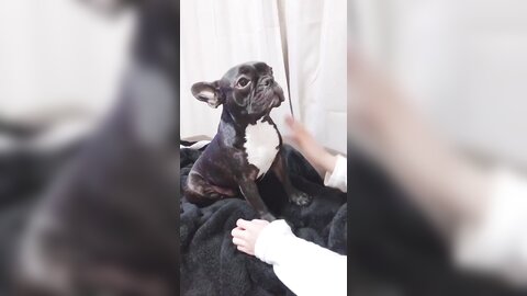 [Twitter] いくみ – (193iKkyu3) (10.11.2022) [2476P116V-1.04GB] (6)