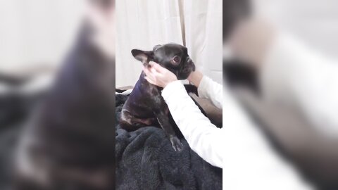 [Twitter] いくみ – (193iKkyu3) (10.11.2022) [2476P116V-1.04GB] (6)