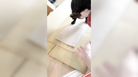 [Twitter] いくみ – (193iKkyu3) (10.11.2022) [2476P116V-1.04GB] (29)