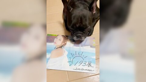 [Twitter] いくみ – (193iKkyu3) (10.11.2022) [2476P116V-1.04GB] (66)