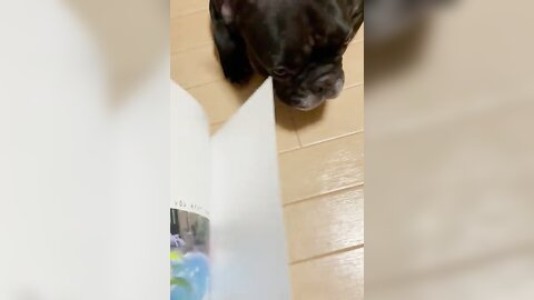 [Twitter] いくみ – (193iKkyu3) (10.11.2022) [2476P116V-1.04GB] (66)