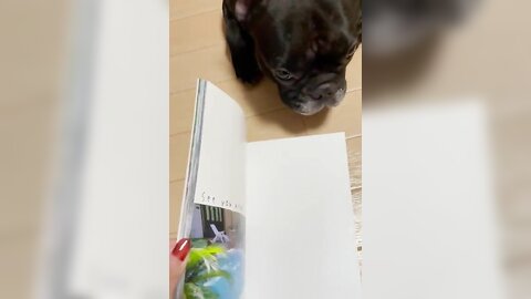 [Twitter] いくみ – (193iKkyu3) (10.11.2022) [2476P116V-1.04GB] (66)