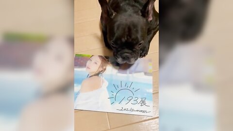 [Twitter] いくみ – (193iKkyu3) (10.11.2022) [2476P116V-1.04GB] (66)