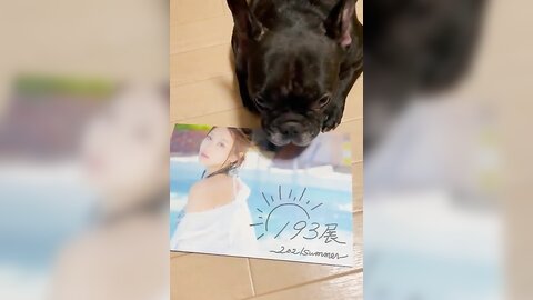 [Twitter] いくみ – (193iKkyu3) (10.11.2022) [2476P116V-1.04GB] (66)