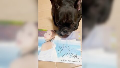 [Twitter] いくみ – (193iKkyu3) (10.11.2022) [2476P116V-1.04GB] (66)
