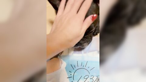 [Twitter] いくみ – (193iKkyu3) (10.11.2022) [2476P116V-1.04GB] (66)