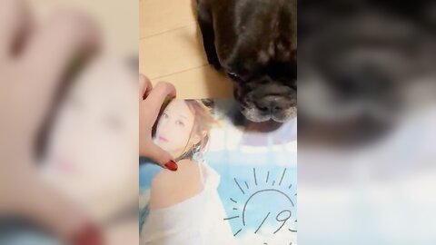 [Twitter] いくみ – (193iKkyu3) (10.11.2022) [2476P116V-1.04GB] (66)