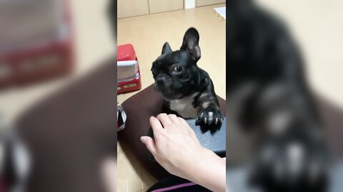 [Twitter] いくみ – (193iKkyu3) (10.11.2022) [2476P116V-1.04GB] (35)