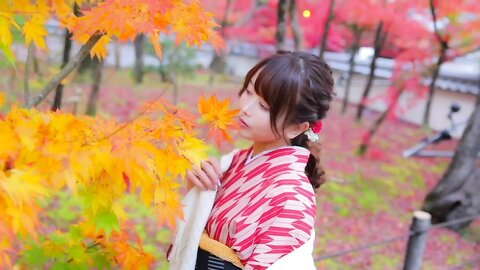 着物で紅葉????✨_by_いくみ
