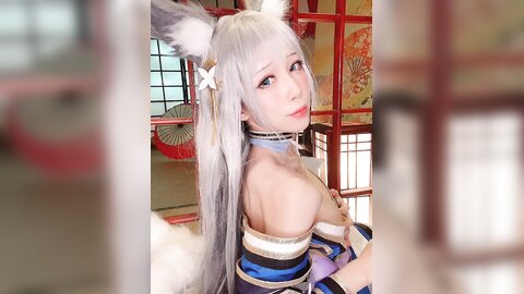 视频 (5)