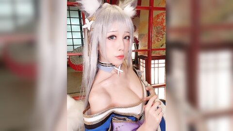 视频 (5)