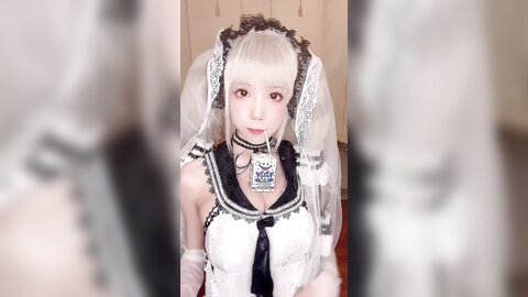 视频 (2)