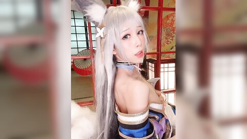 视频 (4)