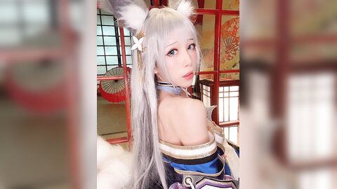 视频 (4)