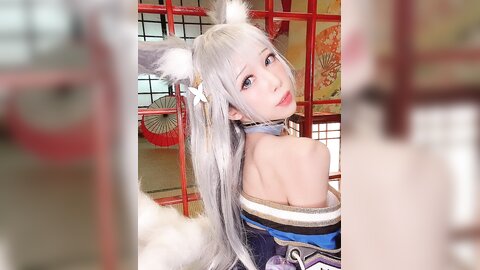 视频 (4)