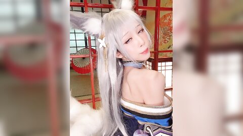 视频 (4)
