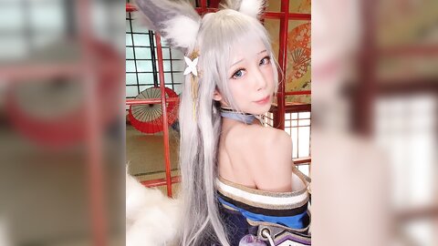 视频 (4)