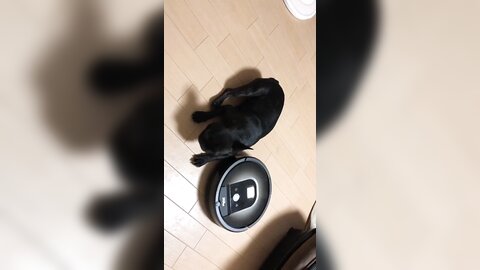 [Twitter] いくみ – (193iKkyu3) (10.11.2022) [2476P116V-1.04GB] (3)