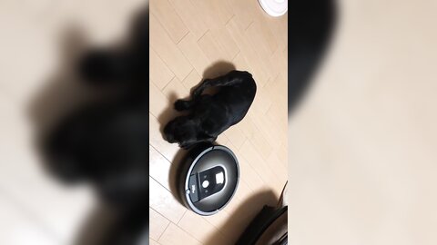 [Twitter] いくみ – (193iKkyu3) (10.11.2022) [2476P116V-1.04GB] (3)
