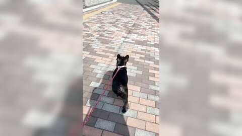 [Twitter] いくみ – (193iKkyu3) (10.11.2022) [2476P116V-1.04GB] (21)