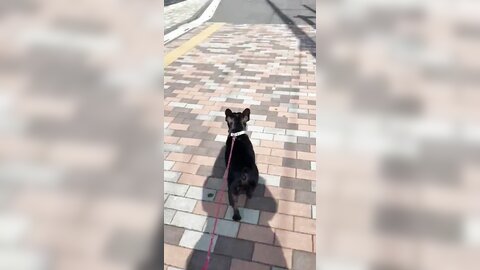 [Twitter] いくみ – (193iKkyu3) (10.11.2022) [2476P116V-1.04GB] (21)
