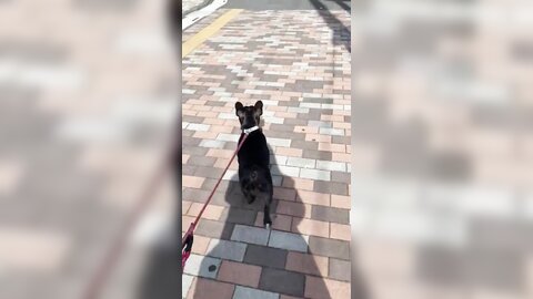 [Twitter] いくみ – (193iKkyu3) (10.11.2022) [2476P116V-1.04GB] (21)