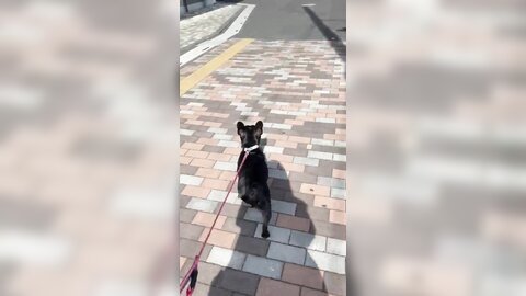 [Twitter] いくみ – (193iKkyu3) (10.11.2022) [2476P116V-1.04GB] (21)
