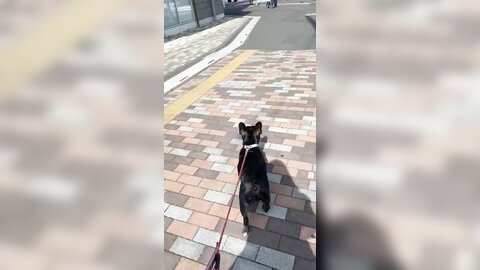 [Twitter] いくみ – (193iKkyu3) (10.11.2022) [2476P116V-1.04GB] (21)