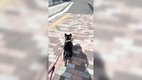 [Twitter] いくみ – (193iKkyu3) (10.11.2022) [2476P116V-1.04GB] (21)
