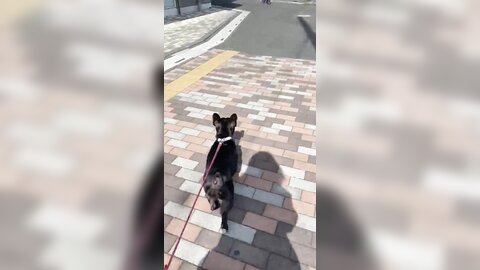 [Twitter] いくみ – (193iKkyu3) (10.11.2022) [2476P116V-1.04GB] (21)