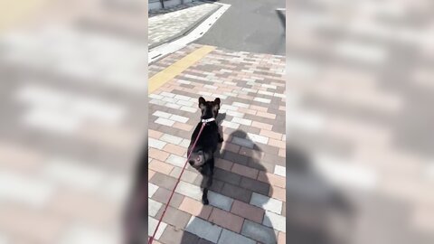 [Twitter] いくみ – (193iKkyu3) (10.11.2022) [2476P116V-1.04GB] (21)