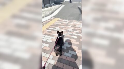 [Twitter] いくみ – (193iKkyu3) (10.11.2022) [2476P116V-1.04GB] (21)