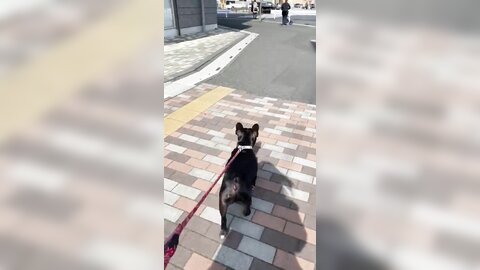 [Twitter] いくみ – (193iKkyu3) (10.11.2022) [2476P116V-1.04GB] (21)
